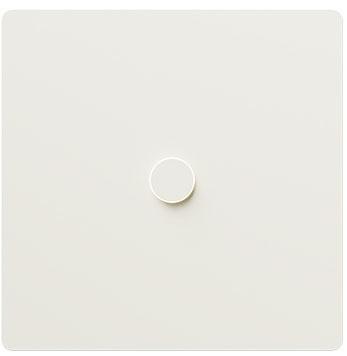 Architectural White